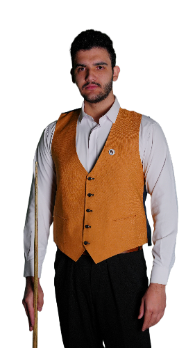 محمد امین محمدیان وایقان